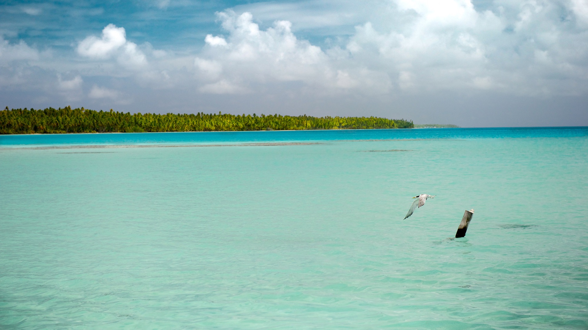 Collins Pearls pearl farm in Takaroa, French Polynesia