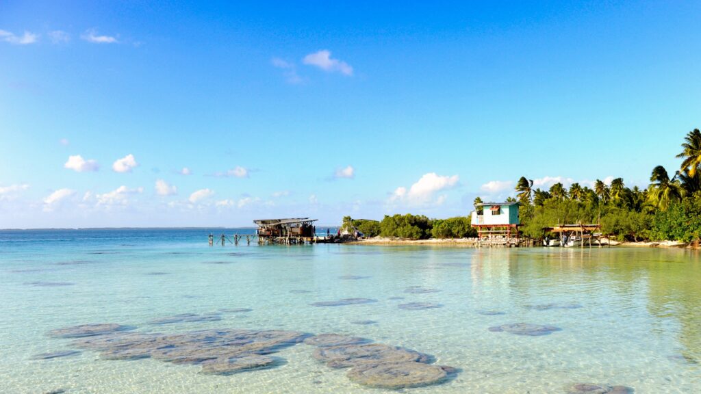 Coral heads under clear shallow water in front of the farm's stilt huts at Takaroa