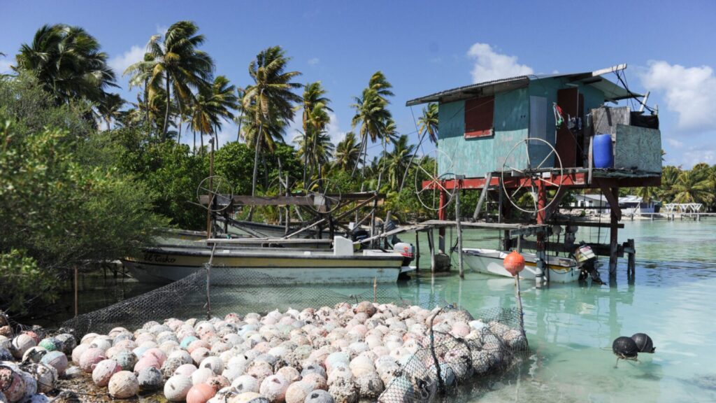 Green stilt hut with hauling wheels, moored skiffs and hundreds of buoys in the shallows