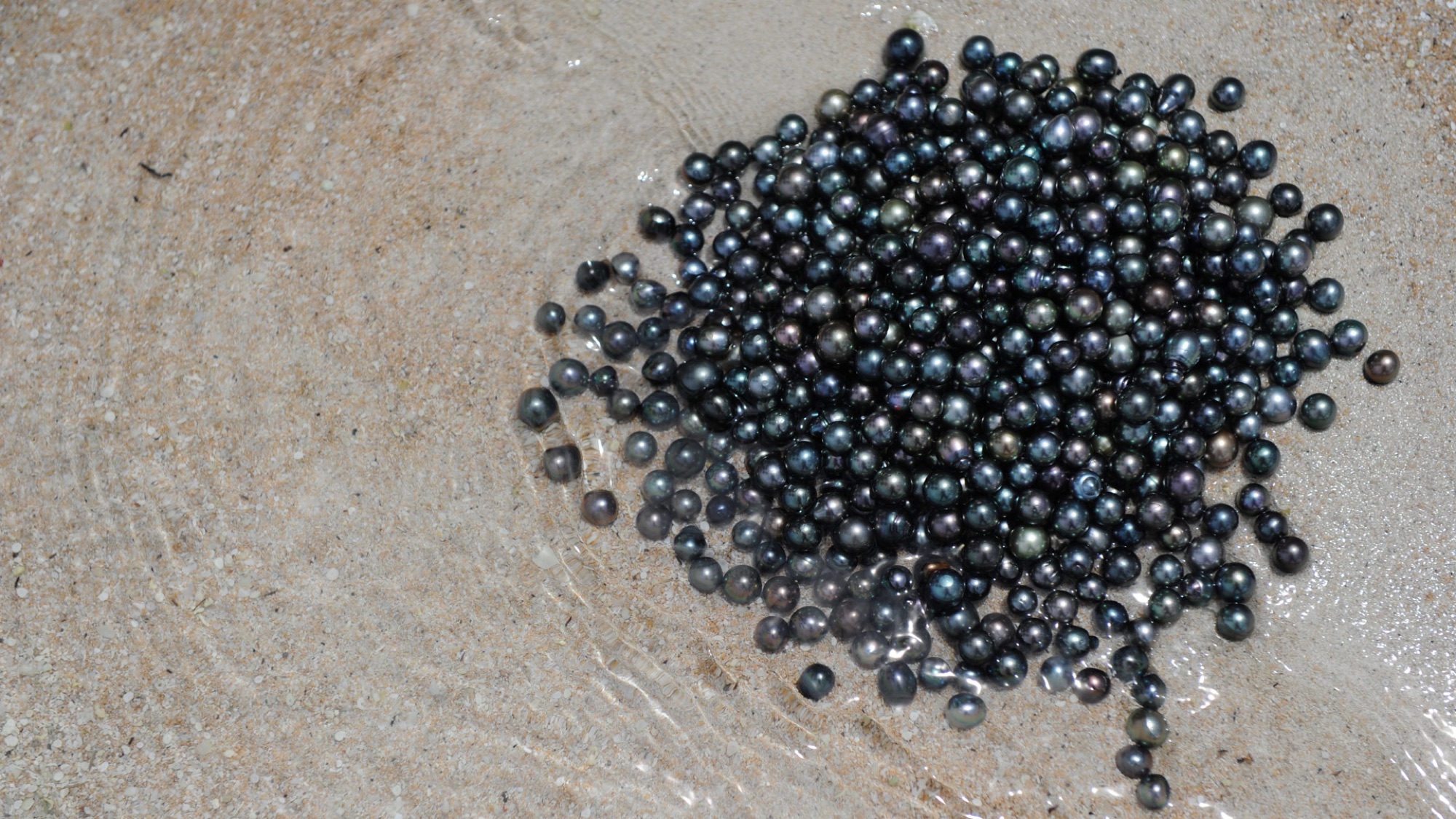 Tahitian black pearls from Collins Pearls