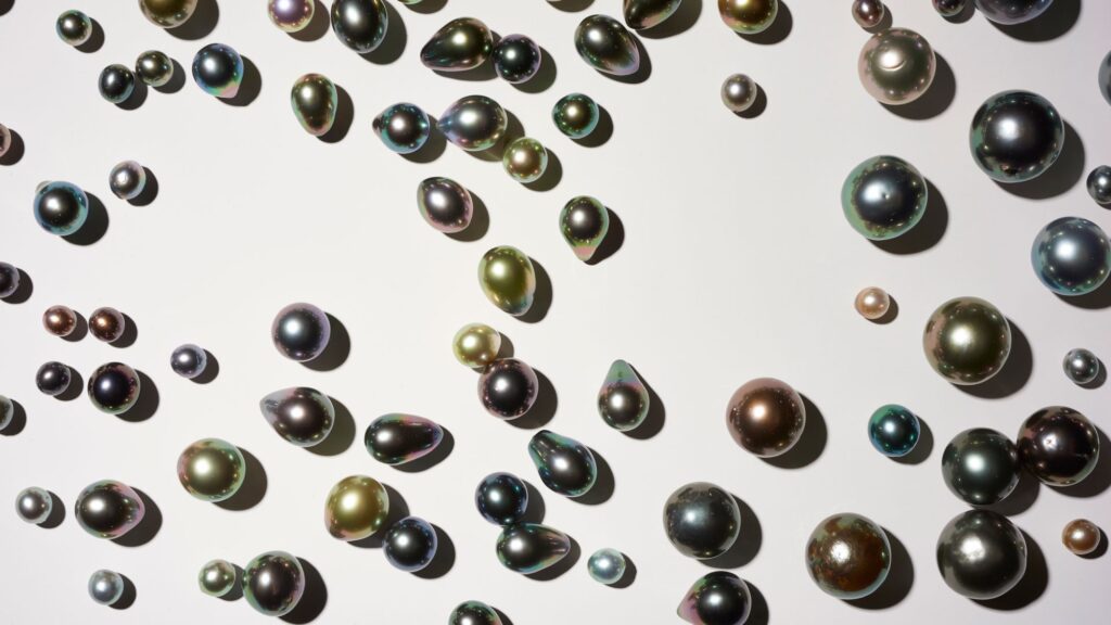 Harvest of Tahitian pearls sorted by size and shade across a white surface