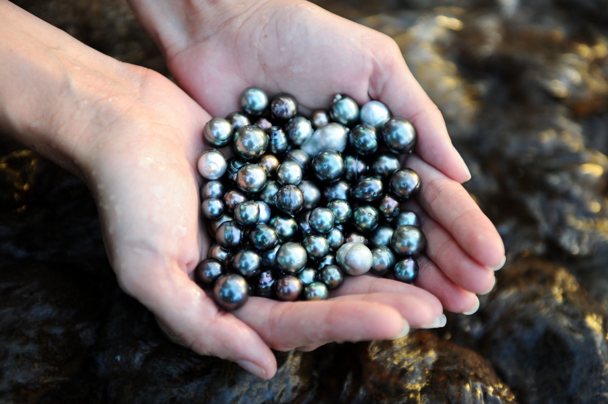 Tahitian black pearls from Collins Pearls